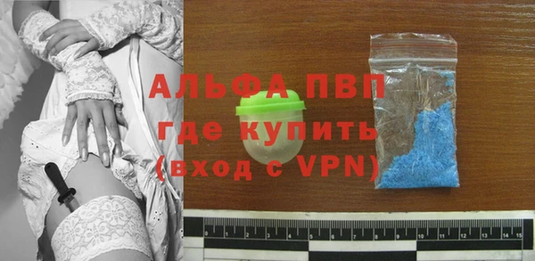 СК Алзамай