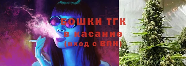 СК Алзамай