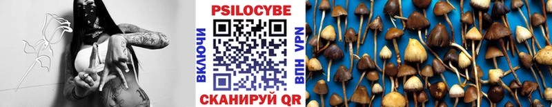 хочу наркоту  Нижнеудинск  МЕГА как войти  Псилоцибиновые грибы GOLDEN TEACHER 